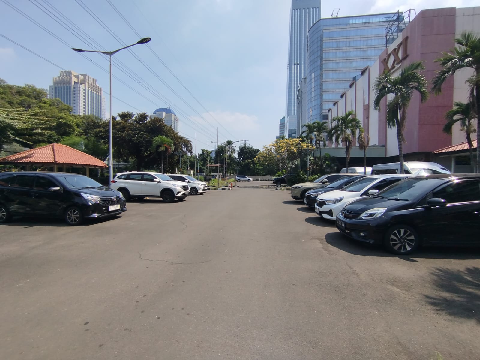 WhatsApp Image 2026-03-12 at 13.27.12 (1)